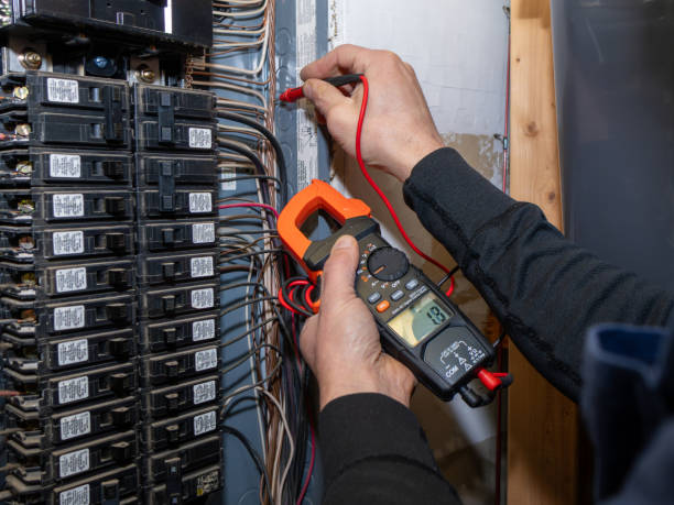 Best Ceiling Fan Installation Electrician  in Apalachin, NY